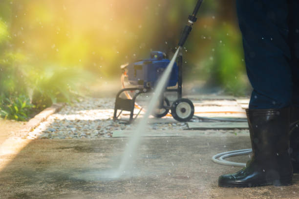 Best Driveway Pressure Washing  in Morristown, TN